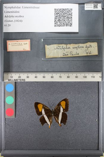 Media type: image;   Entomology 141018